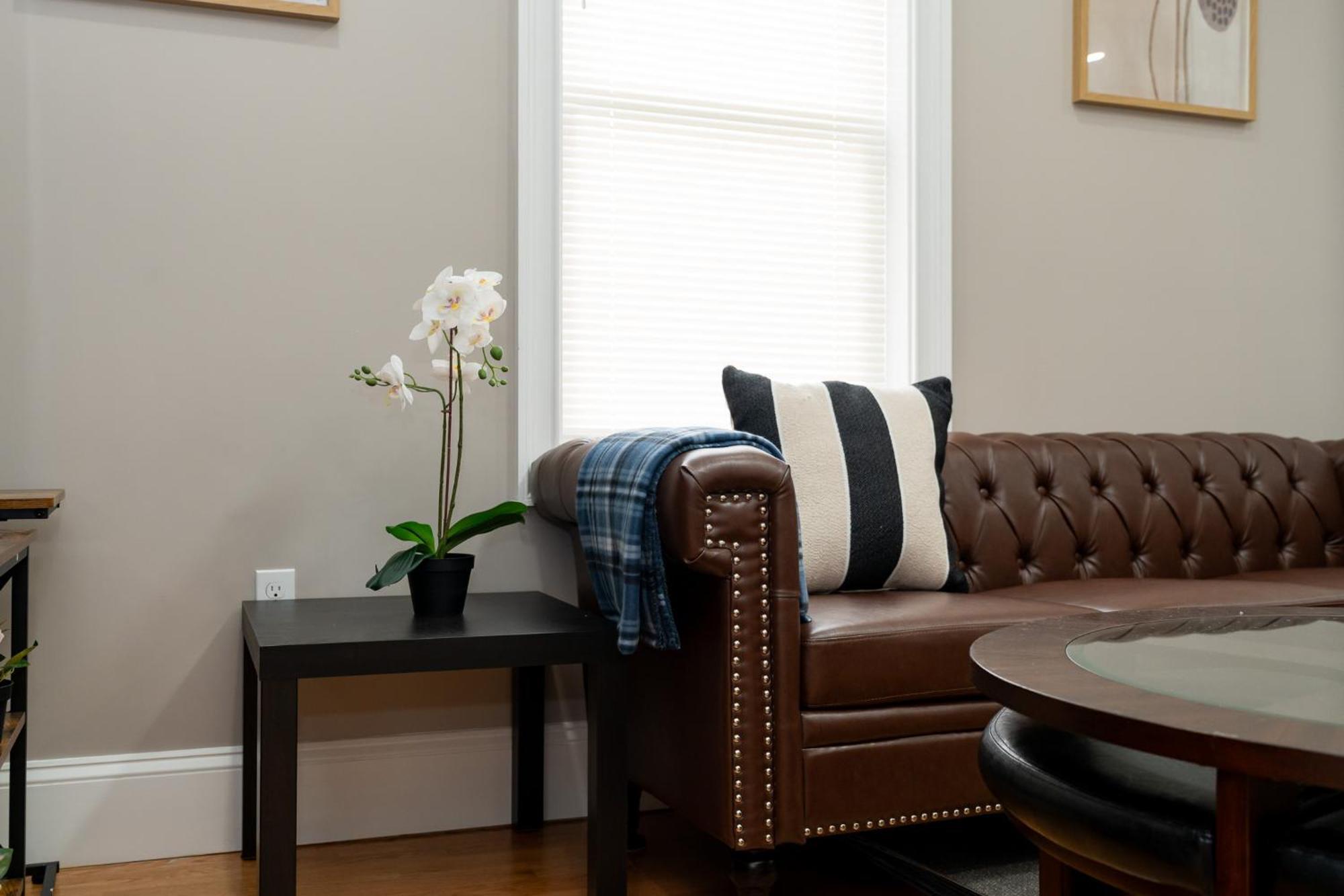 558-1 3Br Boston - Modern Nest Near Franklin Park Apartment Boston